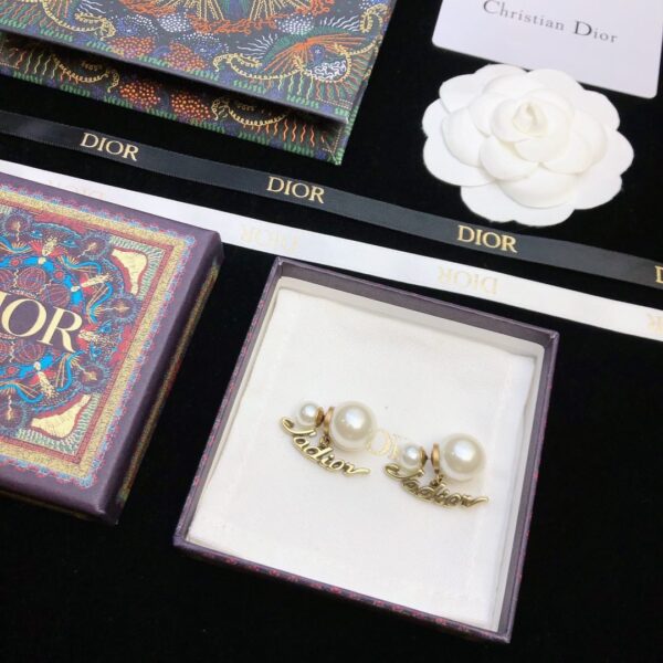 Dior letter earrings, same material, new elegant and elegant earrings, best-selling model