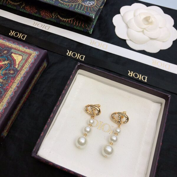 Dior letter earrings, same material, new elegant and elegant earrings, best-selling model