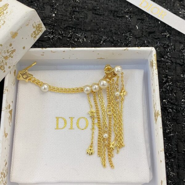 Dior letter earrings, same material, new elegant and elegant earrings, best-selling model