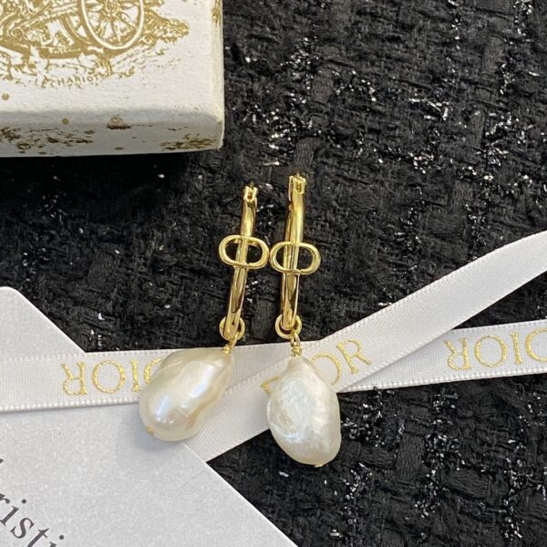Dior letter earrings, same material, new elegant and elegant earrings, best-selling model