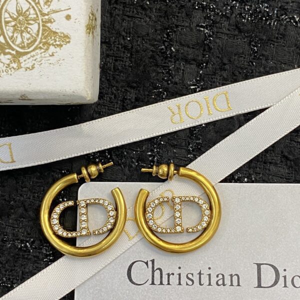Dior letter earrings, same material, new elegant and elegant earrings, best-selling model