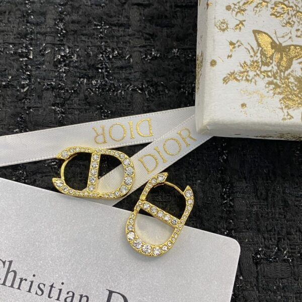 Dior letter earrings, same material, new elegant and elegant earrings, best-selling model