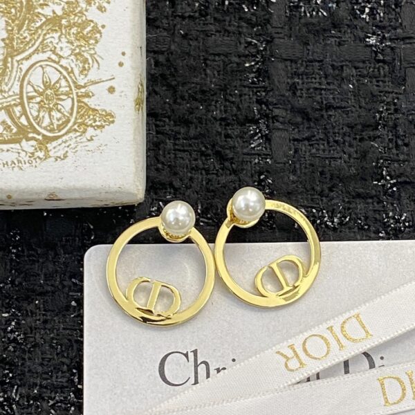 Dior letter earrings, same material, new elegant and elegant earrings, best-selling model