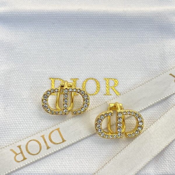 Dior letter earrings, same material, new elegant and elegant earrings, best-selling model