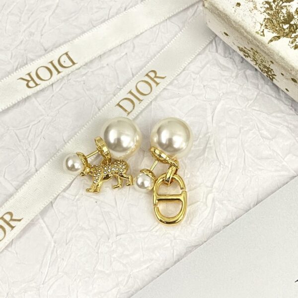 Dior letter earrings, same material, new elegant and elegant earrings, best-selling model