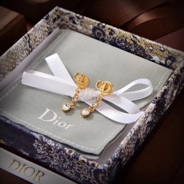 Dior letter earrings, same material, new elegant and elegant earrings, best-selling model