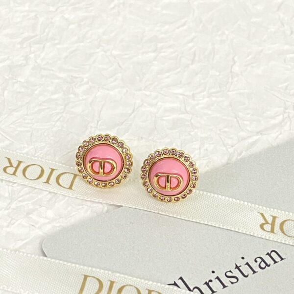 Dior letter earrings, same material, new elegant and elegant earrings, best-selling model