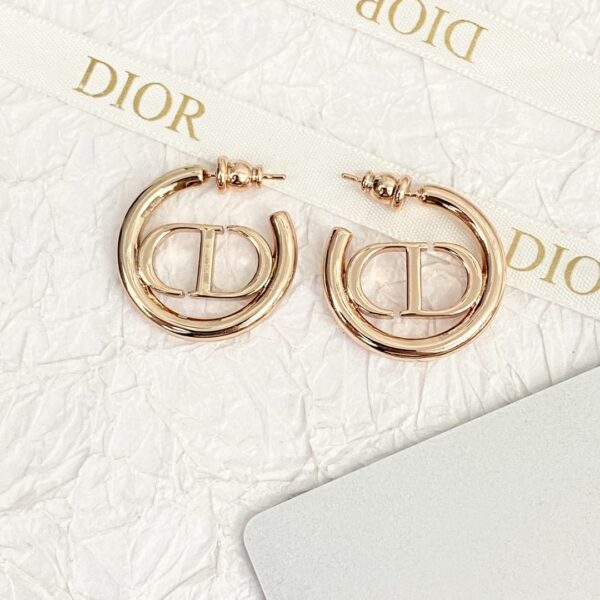 Dior letter earrings, same material, new elegant and elegant earrings, best-selling model