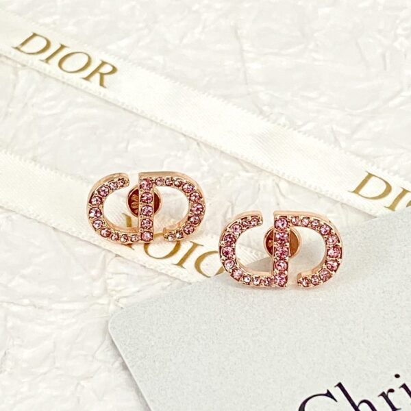 Dior letter earrings, same material, new elegant and elegant earrings, best-selling model