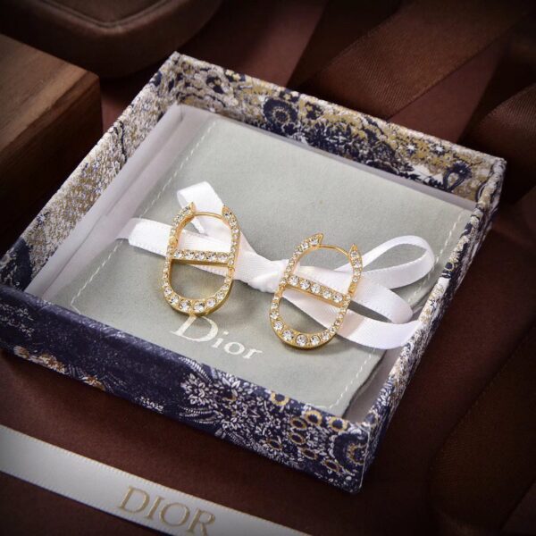 Dior letter earrings, same material, new elegant and elegant earrings, best-selling model